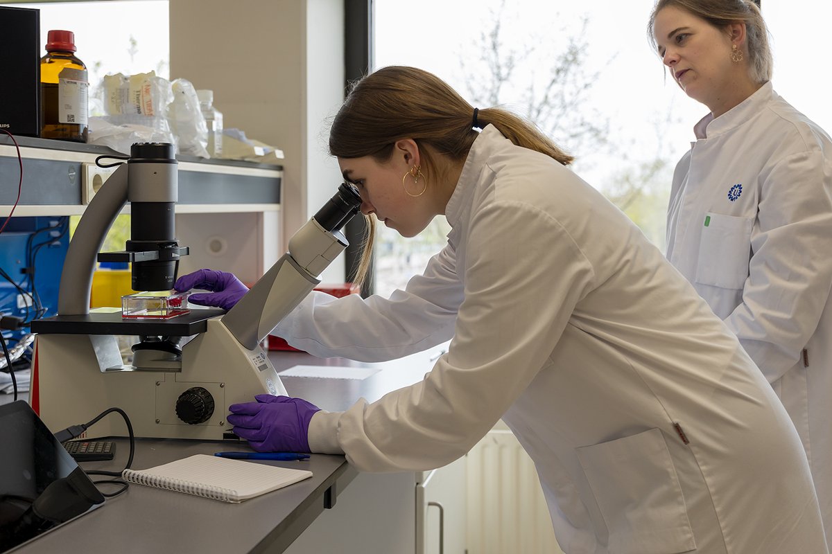 StLongCOVID's tweet image. 🔬 𝗘𝗶𝗻𝗱𝗲𝗹𝗶𝗷𝗸: 𝗴𝗿𝗼𝗼𝘁𝘀𝗰𝗵𝗮𝗹𝗶𝗴 𝗯𝗶𝗼𝗺𝗲𝗱𝗶𝘀𝗰𝗵 𝗼𝗻𝗱𝗲𝗿𝘇𝗼𝗲𝗸 𝗻𝗮𝗮𝗿 𝗟𝗼𝗻𝗴 𝗖𝗢𝗩𝗜𝗗 𝗯𝗶𝗷 𝗸𝗶𝗻𝗱𝗲𝗿𝗲𝗻 𝘃𝗮𝗻 𝘀𝘁𝗮𝗿𝘁.

📖 Lees het hele interview op onze website: stichtinglongcovid.nl/nieuws/nieuw-o…