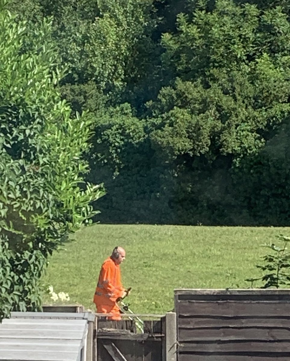 How to waste money, local council cutting field with a household size mower wtf