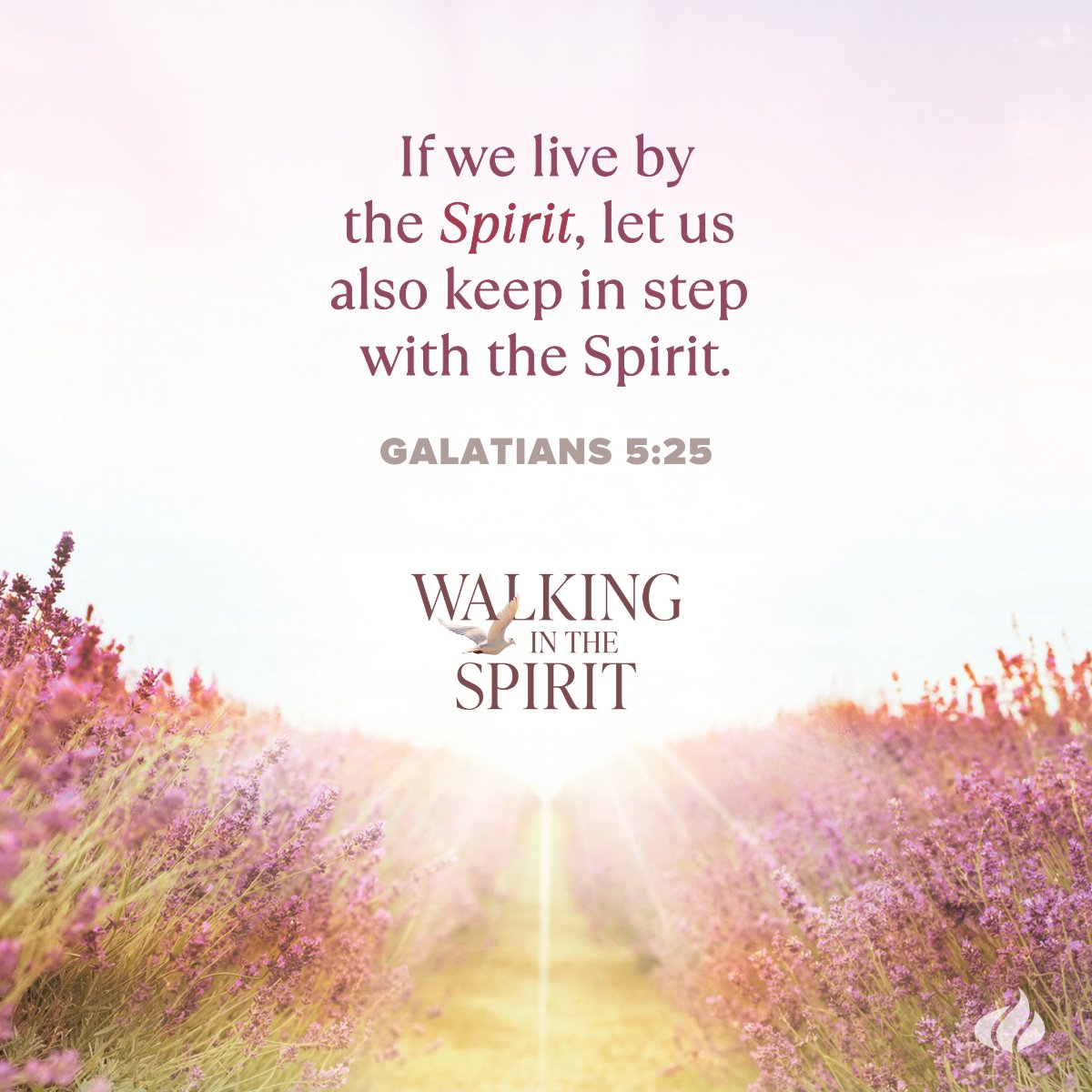 700club's tweet photo. Let God breathe new life, strength, and purpose into your journey with "Walking in the Spirit"! ποΈ
Get it today β‘οΈ https://t.co/XJV3Jg5j0z
#holyspirit #faithjourney #spiritled #walkinvictory #hope #encouragement #jesus #faith #christian #700club https://t.co/ar9saueN7M