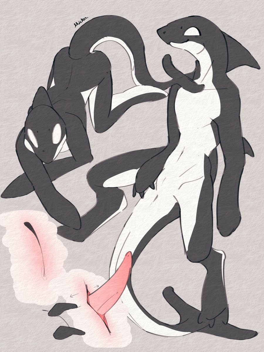 摸摸魚🐋
.  
#furry #furryarts #orca #nsfw