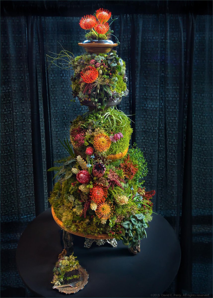 EarthKeeper22's tweet photo. FEAST FOR THE EYES
Woodland Cake made from all live plants by Mari Malcom.

It's impossible to walk in the woods and be in a bad mood at the same time.
🦋LJC

#GlobalWarming #deforestation #biodiversity #Conservation #nature #art https://t.co/e9a8VBoDUD