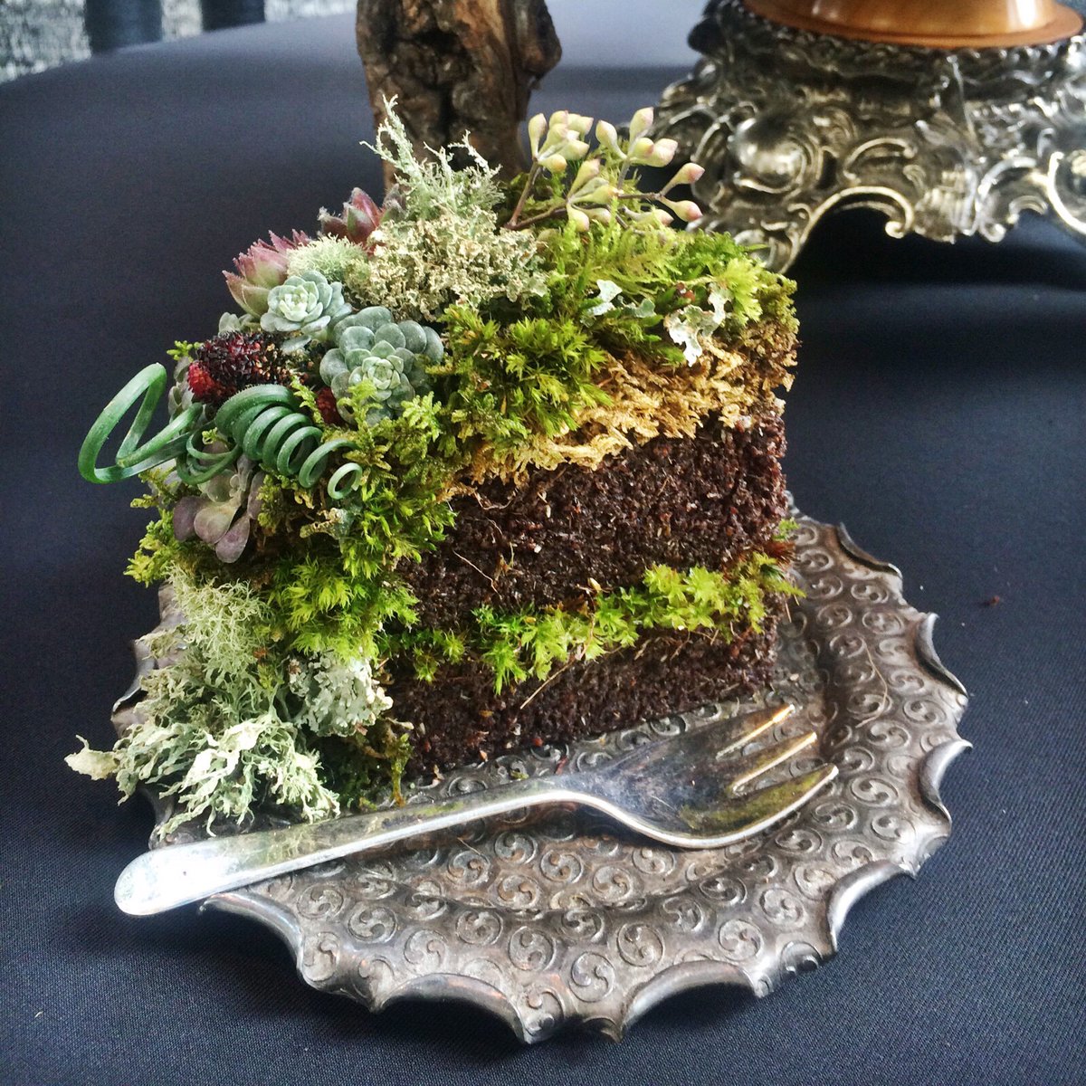 EarthKeeper22's tweet photo. FEAST FOR THE EYES
Woodland Cake made from all live plants by Mari Malcom.

It's impossible to walk in the woods and be in a bad mood at the same time.
🦋LJC

#GlobalWarming #deforestation #biodiversity #Conservation #nature #art https://t.co/e9a8VBoDUD