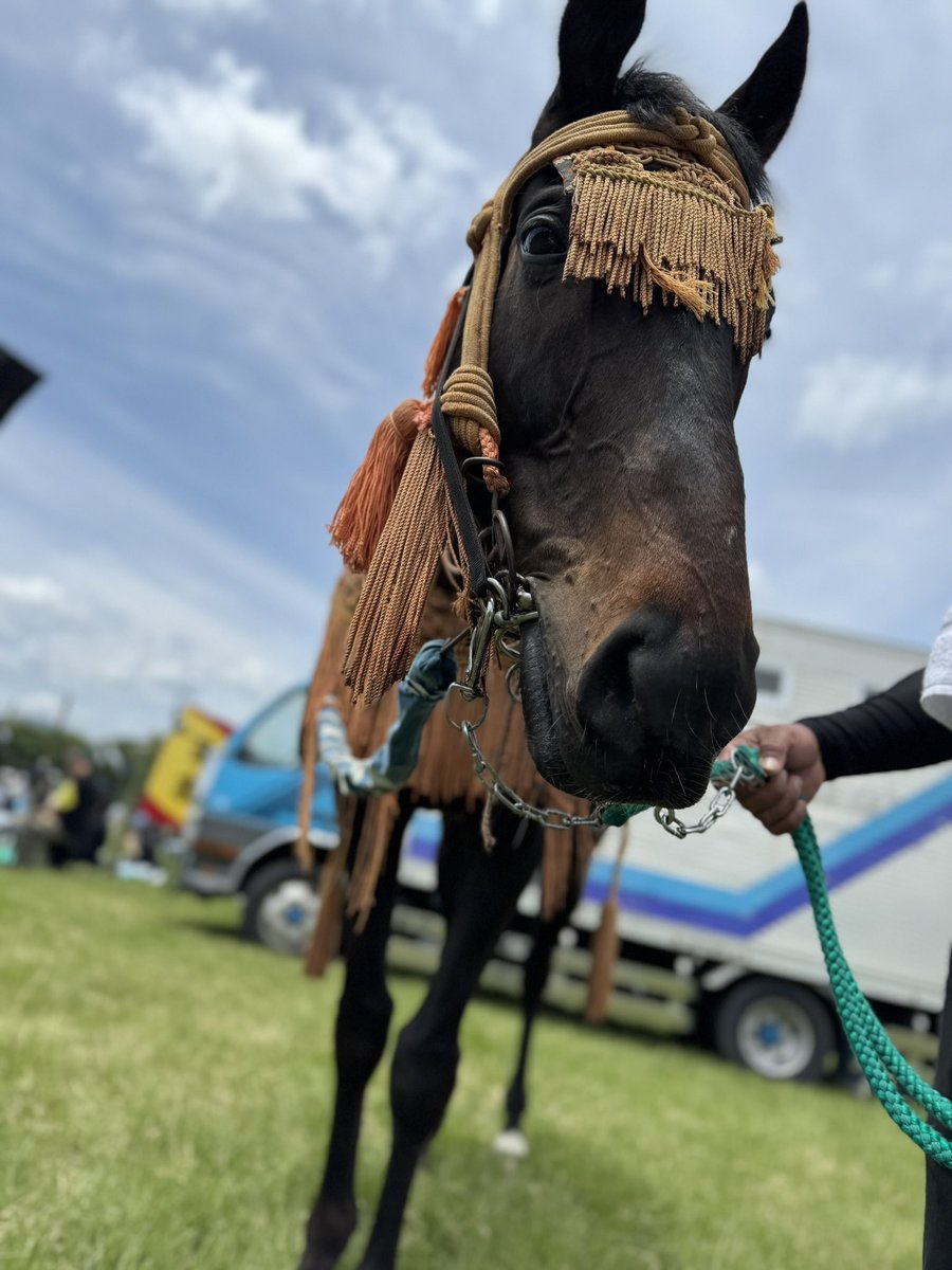 なんと！！
ぼくちんにも出陣祝いただきました🐴♡
大好きなスイカ🍉
ありがとうございます♪