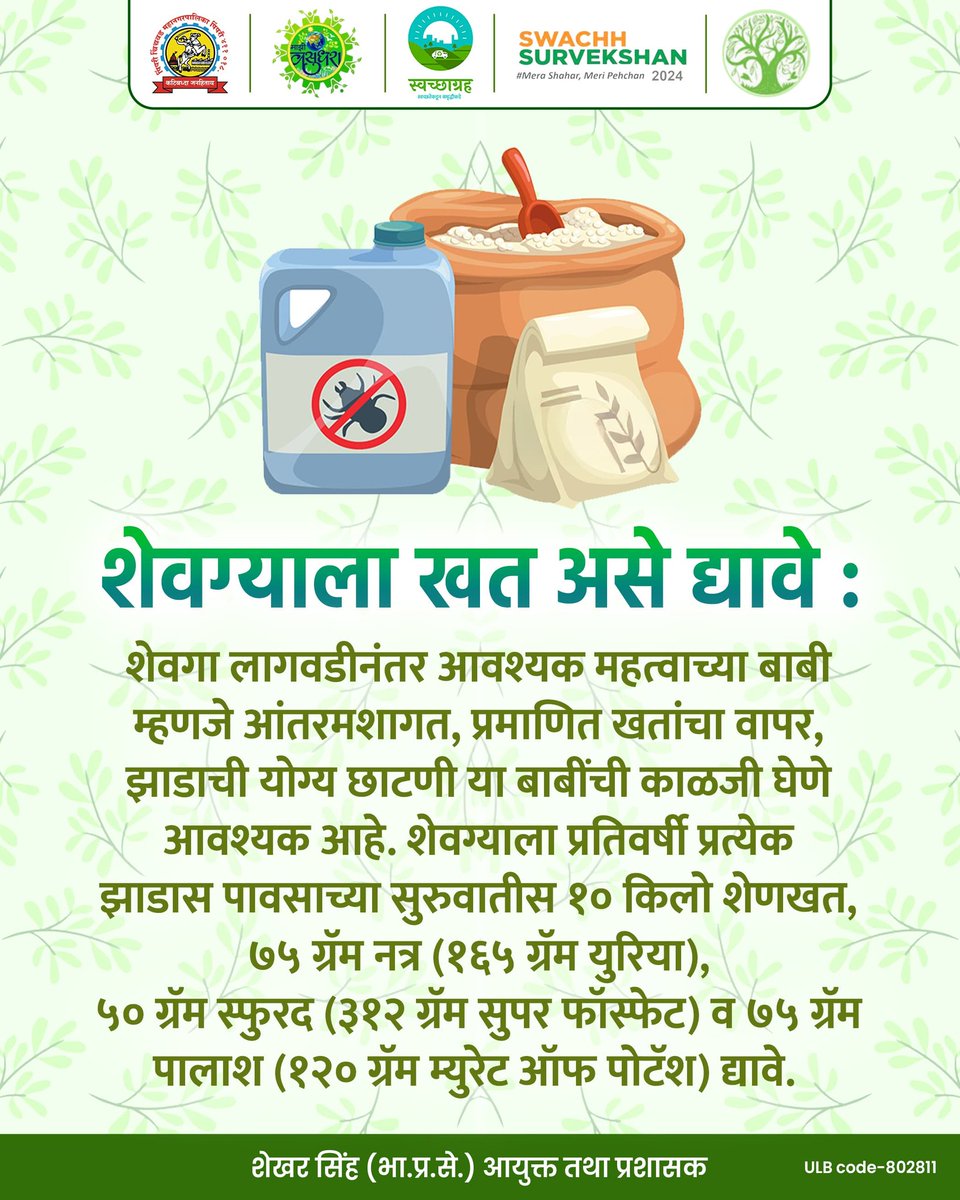 pcmcindiagovin's tweet photo. शाश्वत जैविकतेचा निर्धार ,
शेवगा लागवडीचा आधार..!

शेवग्याच्या प्रत्येक झाडास कमीत कमी पावसाच्या सुरुवातीस १० किलो शेणखत, ७५ ग्रॅम नत्र, ५० ग्रॅम स्फुरद व ७५ ग्रॅम पालाश द्यावे.
शेवगा लागवड ही बहुउपयोगी व फायदेशीर प्रक्रिया आहे.
#swachhsurvekshan2025
#majhivasundhara6.0 #pcmc https://t.co/M0Yk5E2cmB