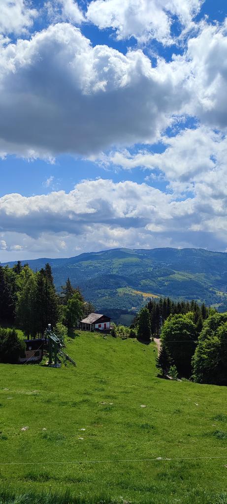matheline3's tweet photo. Ce midi, c'est ferme-auberge.
#Gaschney #Alsace #cestbeau https://t.co/9A3b6acqvI