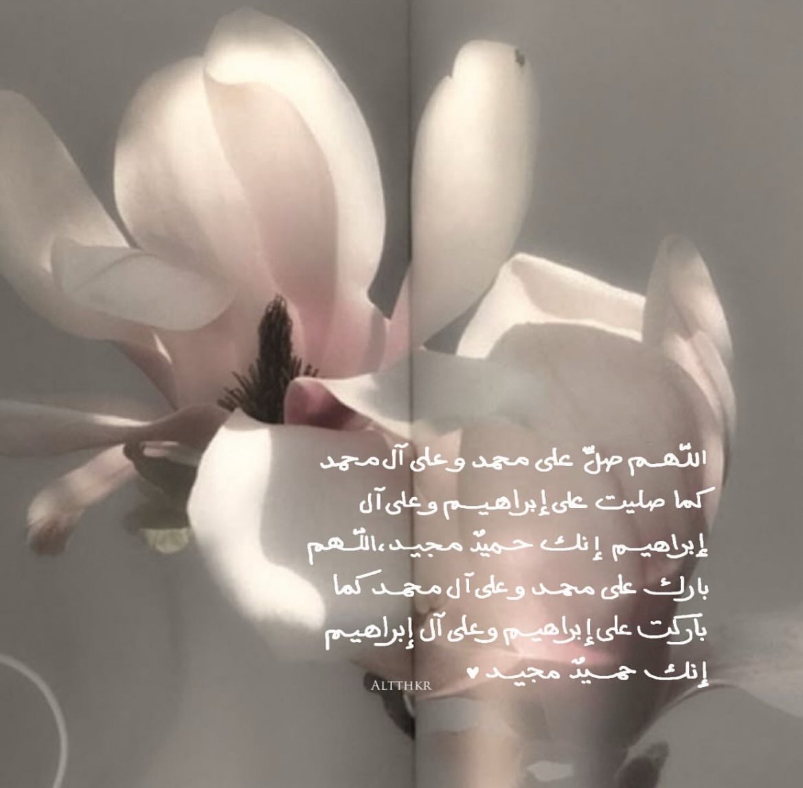 04wi0's tweet photo. https://t.co/05m5kHqFgv