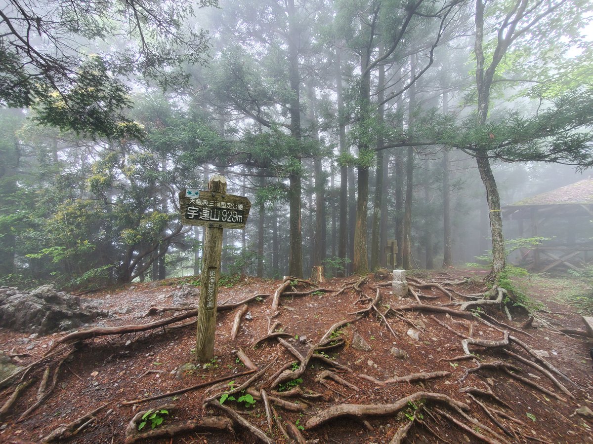 GC27_AUTECH's tweet image. 霧は酷かったけど、無事に下山しました。
#低山
#宇連山