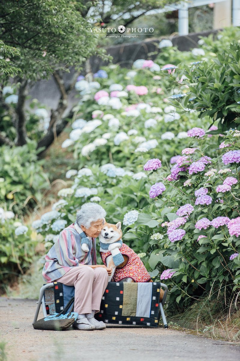 福ちゃんは、笑ってますよね🥹🐶⁉️