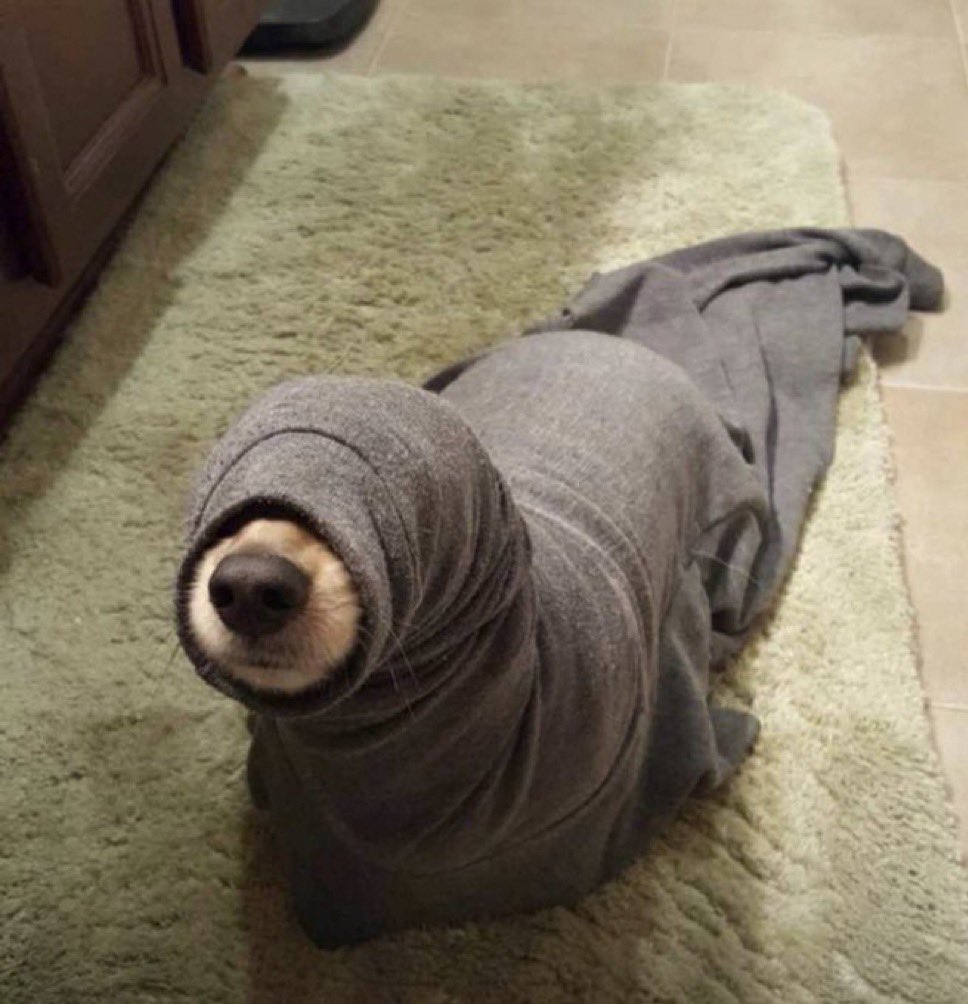 Akandwanaho Gad tweet media