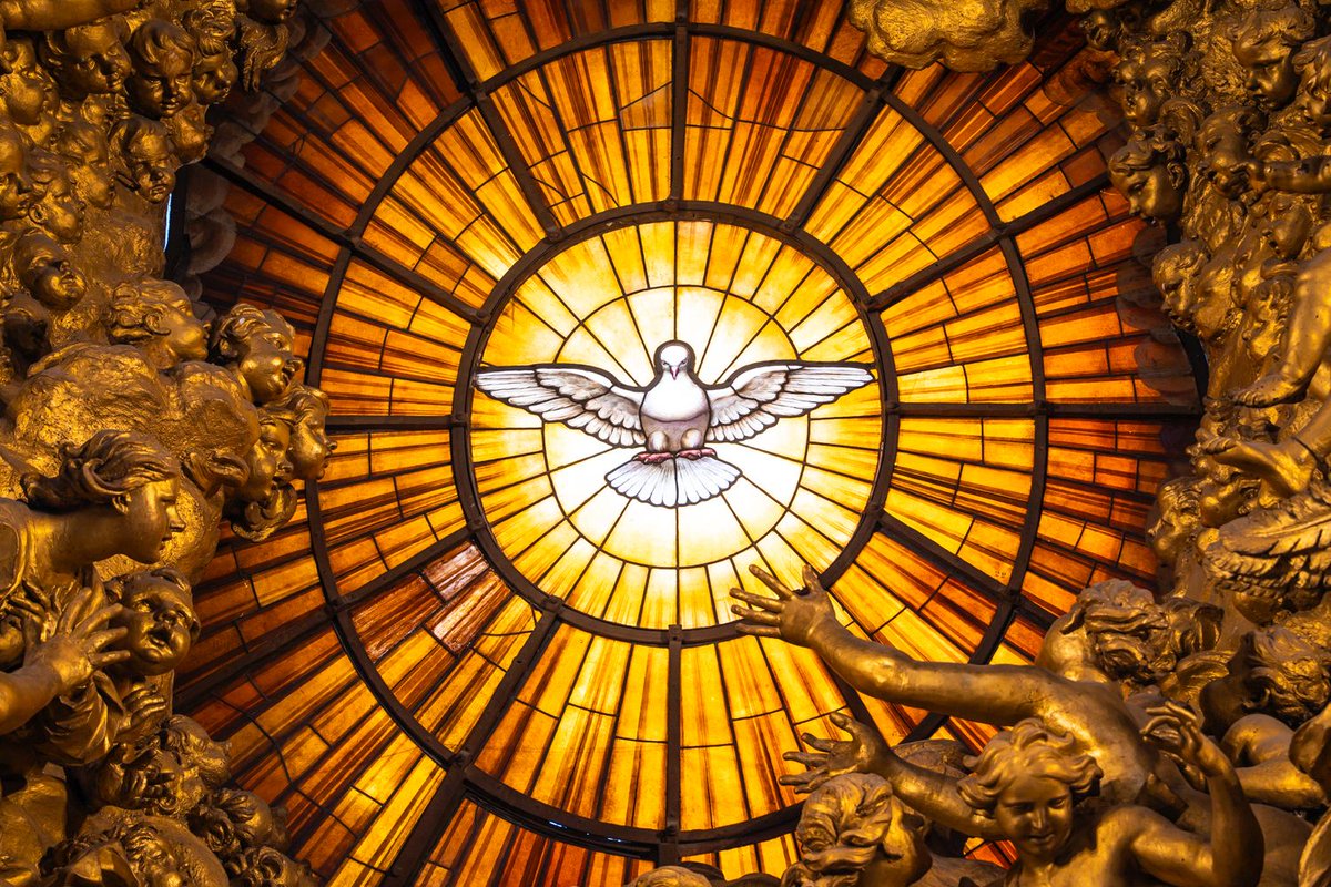 Bisdom Rotterdam tweet media