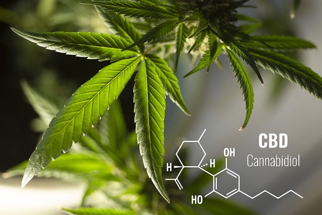 #cbd #hemp #edibles Guide To Spotting Fake CBD Products. The booming CBD industry has brought numerous benefits to consumers but has also led to the rise of counterfeit products. Studies show that a significant portion of cbdhealthbasket.com/?p=8883 #thc #delta8 #cannabiscommunity