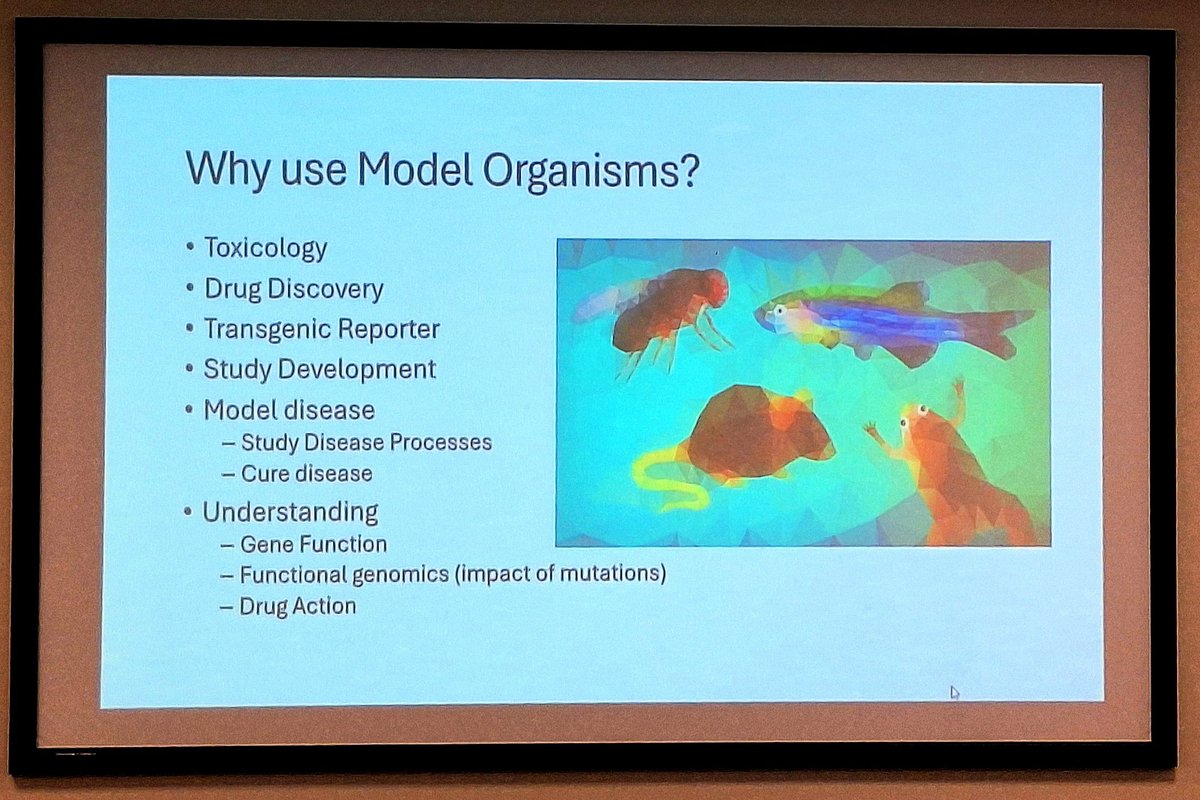 Animals help us heal, learn, and evolve. But at what cost?
At UCD’s #ICATStudyDay, we reflect on #OneHealth #OneWelfare, and the ethical crossroads of animal research. The science of compassion starts here <a href="/ucddublin/">University College Dublin</a> <a href="/ucdvetmed/">UCD School of Veterinary Medicine</a> <a href="/ICATProgramme/">ICAT Programme</a>