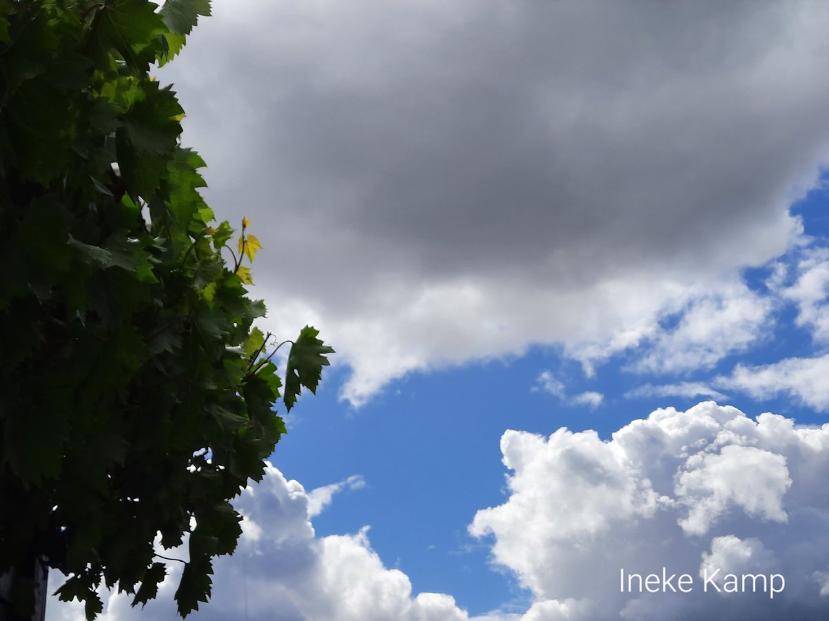 ineke_kamp's tweet photo. Mooie wolken. Wezep. https://t.co/m91X07qFYU