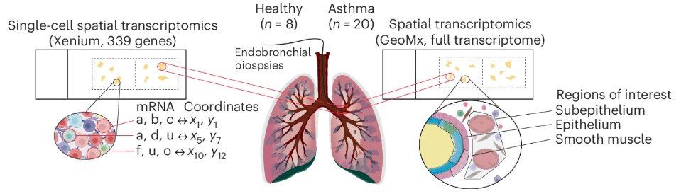 Lloyd Lab NHLI tweet media