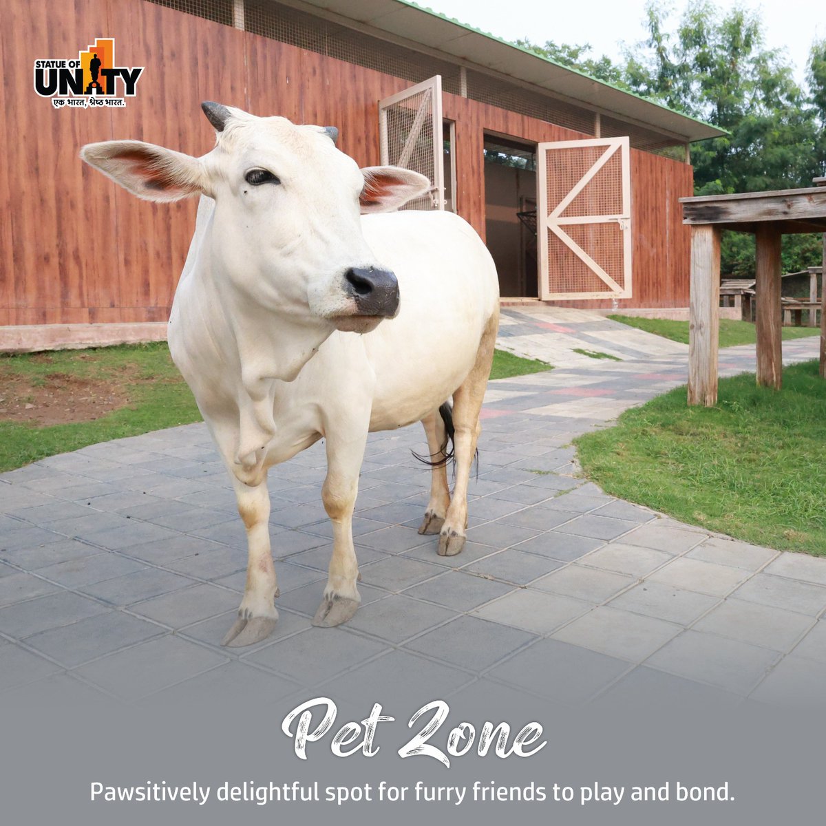 souindia's tweet photo. From cuddles to fun-filled activities, the Pet Zone at SOU is the perfect spot for pet lovers of all ages.
#PetZon #PetFriendlyFun #PawsAndPlay #StatueOfUnity #EktaNagar #150YearOfSardarPatel https://t.co/CBcS5Nodlx