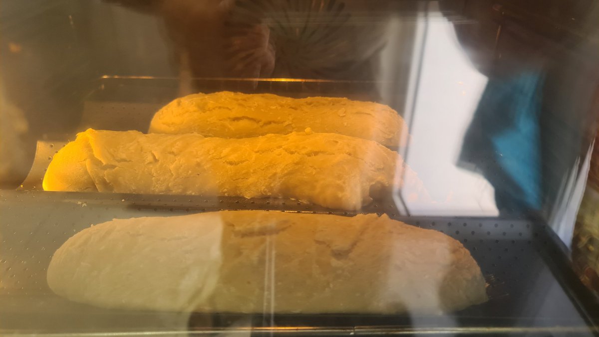 הבאגטים שלי מתבאגטים להיטַם🔥😁