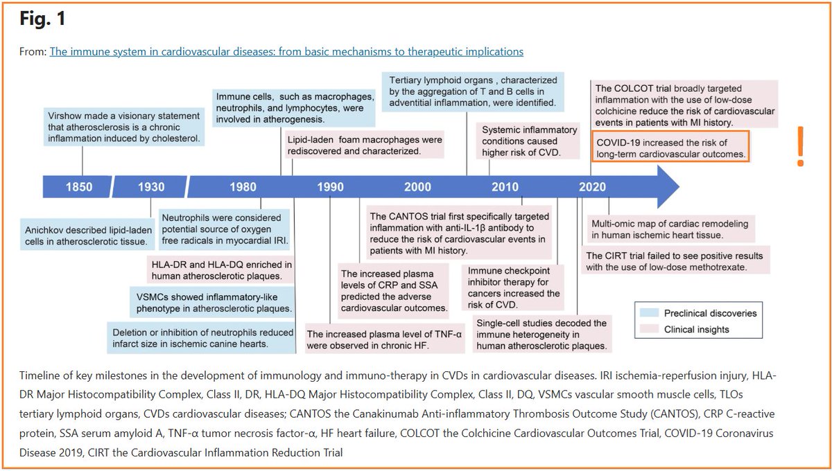 The immune system in cardiovascular diseases: from basic mechanisms to therapeutic implications

🔥We know that SarsCoV2 has the potential to dysregulate your immune responses linked to CVDs, suggesting a significant future risk!

🔥Brillant overview study that will open your