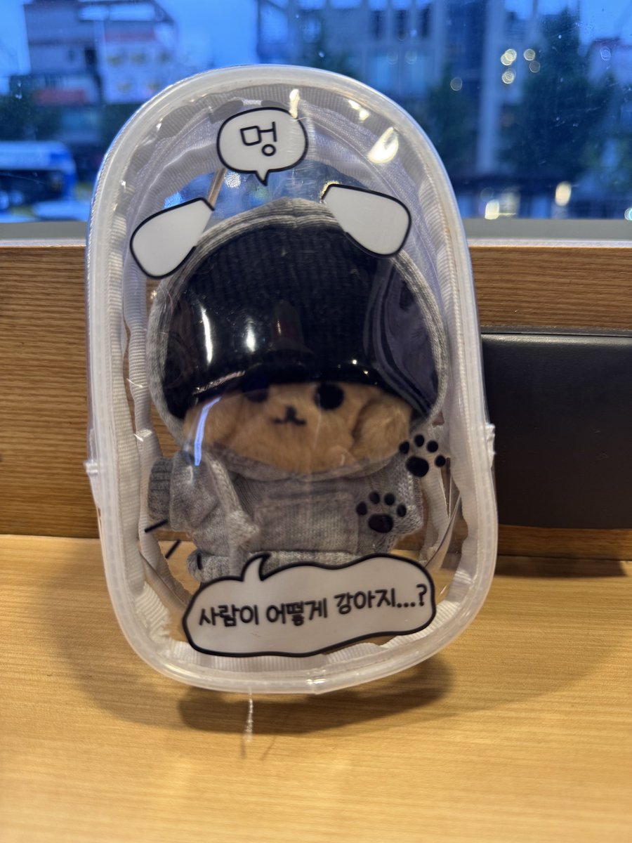 출국/귀국 김유멍