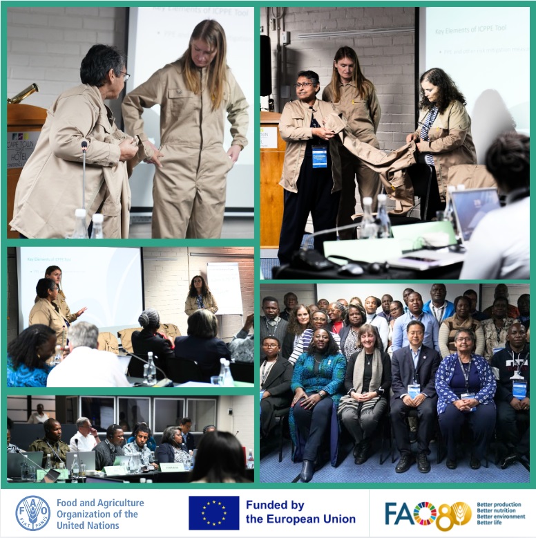 faosfsafrica's tweet photo. #DYK🔬 Pesticide operator exposure is a top concern

This week, @SADC_News countries' pesticide regulators tested a new global model by #ICCPE  to estimate real-world exposure levels
👉bringing science closer to safer practices

#RegionalTraining #PesticideSafety #FAOToolkit https://t.co/fbOCnJb2gk