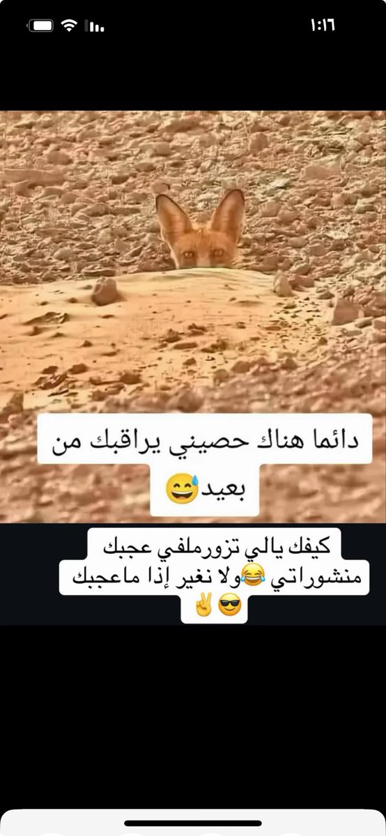 مازن العتيبي🇸🇦 tweet media