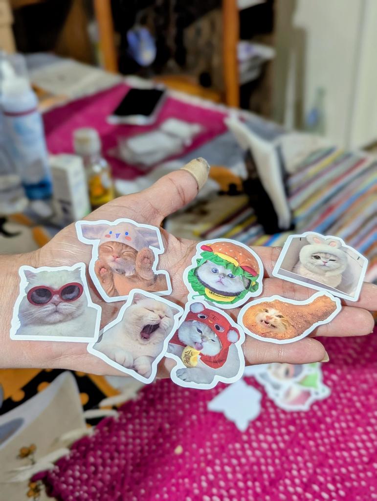 paulaleong09's tweet photo. Stickers disponibles ✨
Por favor siganme o denme un rt 
Mi tienda en Instagram es: miss Autumn Clothing ⬅️
WhatsApp consultas: 0981 371966
Su consulta no es molestia 🫶🏼 https://t.co/G7zCkCRMKU