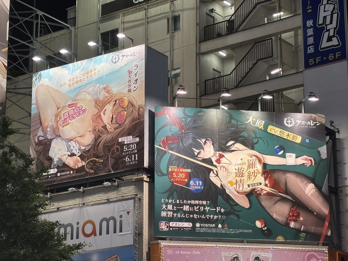 アズレン秋葉原でも流石にダメなんだ