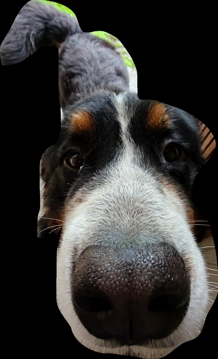 Marian Baczal 🇵🇱🇱🇦 tweet media