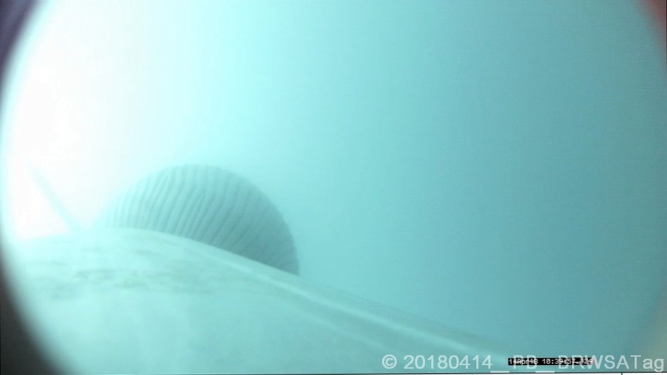 Jacopo Di Clemente tweet media