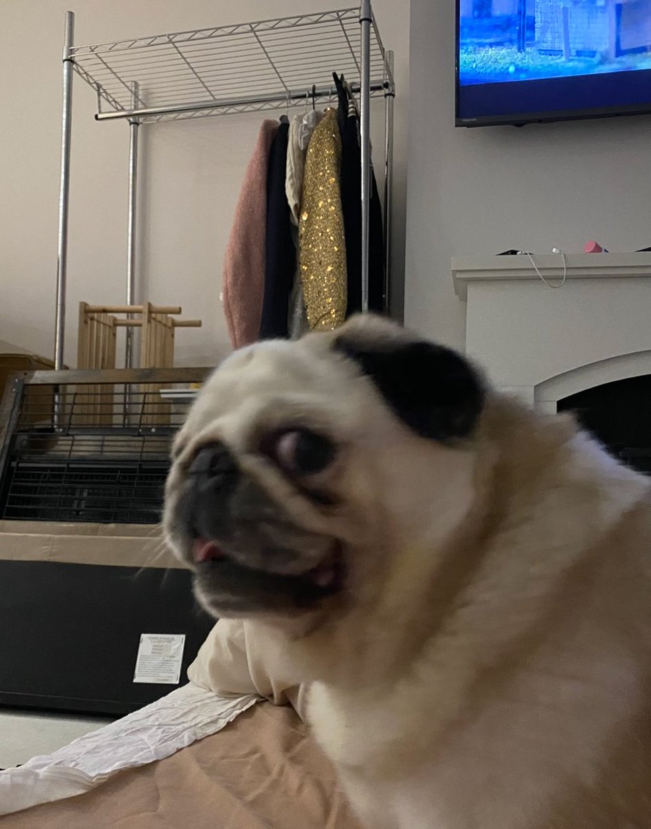 ChandlerJ tweet media