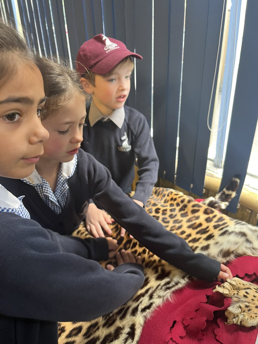 K Green (@mrsk_green) on Twitter photo We have enjoyed a fantastic African Savannah workshop at <a href="/dudleyzoo/">Dudley Zoo</a> this morning where the children explored a variety of animal exhibits; focusing on conservation <a href="/winterfoldhs/">Winterfold School</a> We have enjoyed a fantastic African Savannah workshop at <a href="/dudleyzoo/">Dudley Zoo</a> this morning where the children explored a variety of animal exhibits; focusing on conservation <a href="/winterfoldhs/">Winterfold School</a>