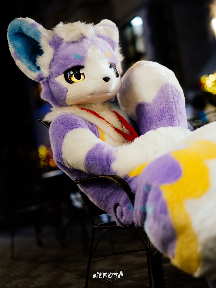 RmirCat's tweet photo. 少し休みたいんだ
#FursuitFriday 📷猫太 https://t.co/rhr4XYAQ19