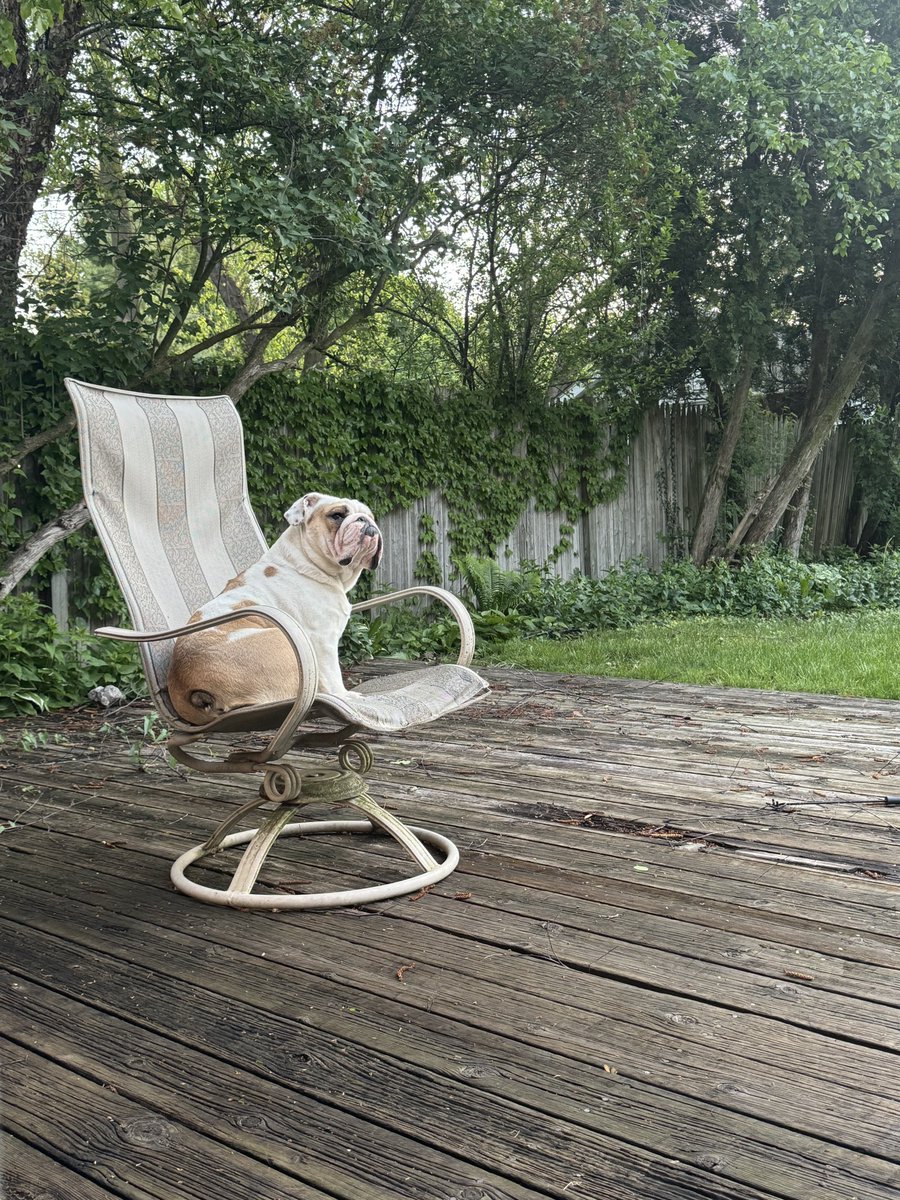 LamboSpacePrincess tweet media