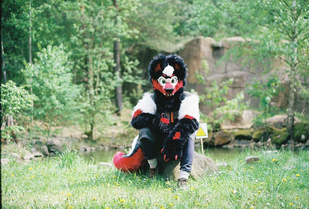 Another great photo from KRAZ. Happy #FursuitFriday everyone.

🧵 <a href="/ArgetandLazuli/">Arget & Lazuli</a> 
📸 <a href="/sly_vali/">sly</a>