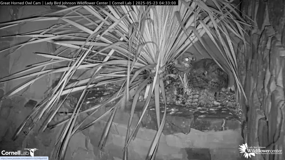 00:12 and 04:33, 5/23   Breakfast deliveries