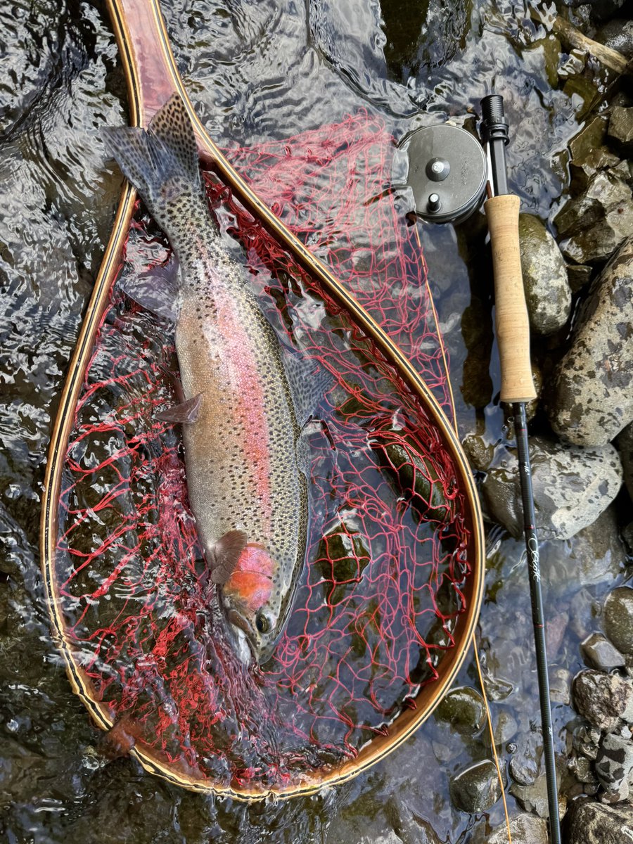 flyfishingとWrangler(キチガイ) tweet media