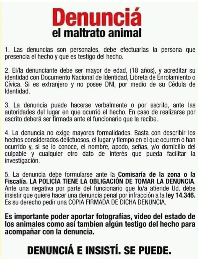 MALTRATO ANIMAL EN ARGENTINA: cómo denunciar.
#Ley14346 #Argentina