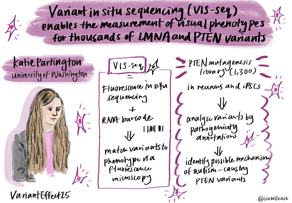 isabellease's tweet photo. Katie Partington at #VariantEffect25 https://t.co/OAGtOuVRaU
