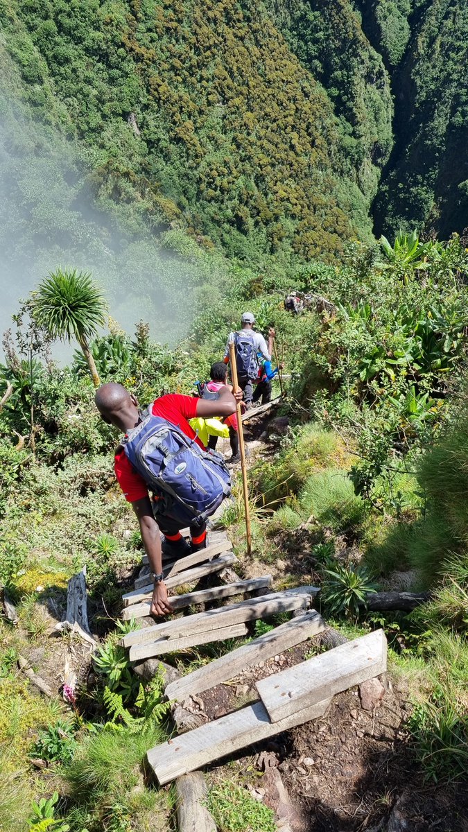 Alright thrill-seekers, we want to know; front-first or back-first when going down these stairs? Let us know in the replies!! #VirungaMountains #MtSlayersUganda #MtSlayersA10 #TGIF