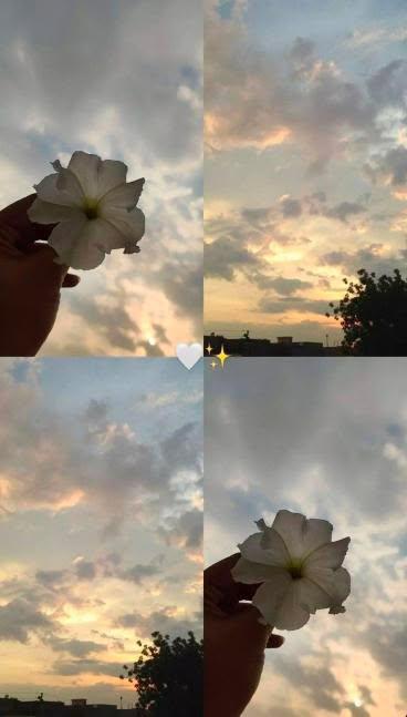 idcyr_'s tweet photo. Share your colorful skies https://t.co/ca93Xdot1q