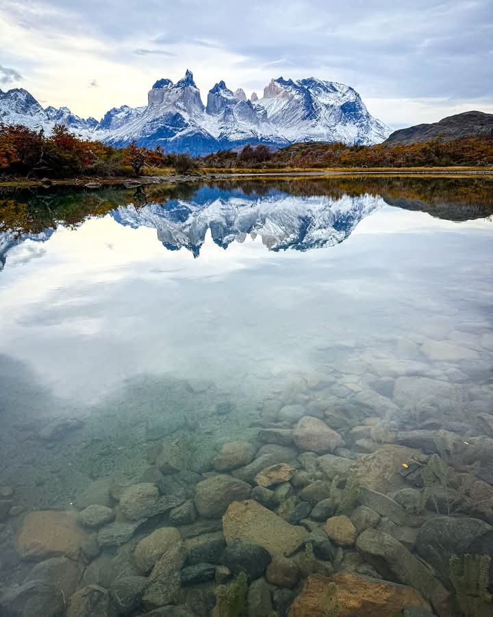 MAGALLANICO_68's tweet photo. #despiertaconchv hola kari y pato. Asi como exigimos debemos cumplir  el problema es mucho mayor y complejo.
Un ejem: Si una mujer irregular comete un delito y es madre de hijo nacido en Chile. 
Se debe expulsar?
 Sabemos que si es hombre eso no importa mucho.

Saludos. https://t.co/AeNp7HjGmW