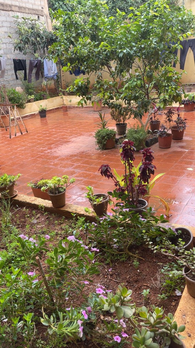 Rainy day