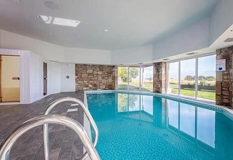 We Accept Pets tweet media