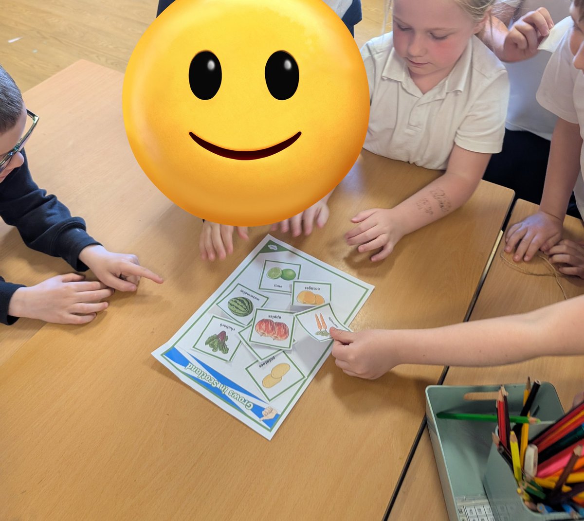 MrsSigurdsson's tweet photo. P2 have been investigating where some fruit &amp; veg we buy are grown. We learned about food miles &amp; couldn't believe how far some items came to get to our local shops. We discovered that lots of items can be grown in Scotland instead  #DunipaceIDL #DunipaceSTEM https://t.co/MIxYvsf8Oc