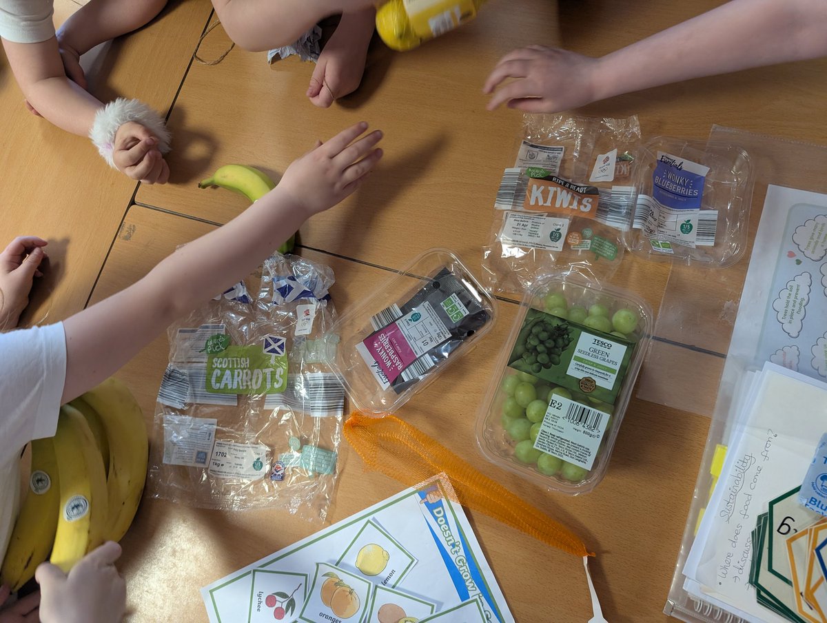 MrsSigurdsson's tweet photo. P2 have been investigating where some fruit &amp; veg we buy are grown. We learned about food miles &amp; couldn't believe how far some items came to get to our local shops. We discovered that lots of items can be grown in Scotland instead  #DunipaceIDL #DunipaceSTEM https://t.co/MIxYvsf8Oc