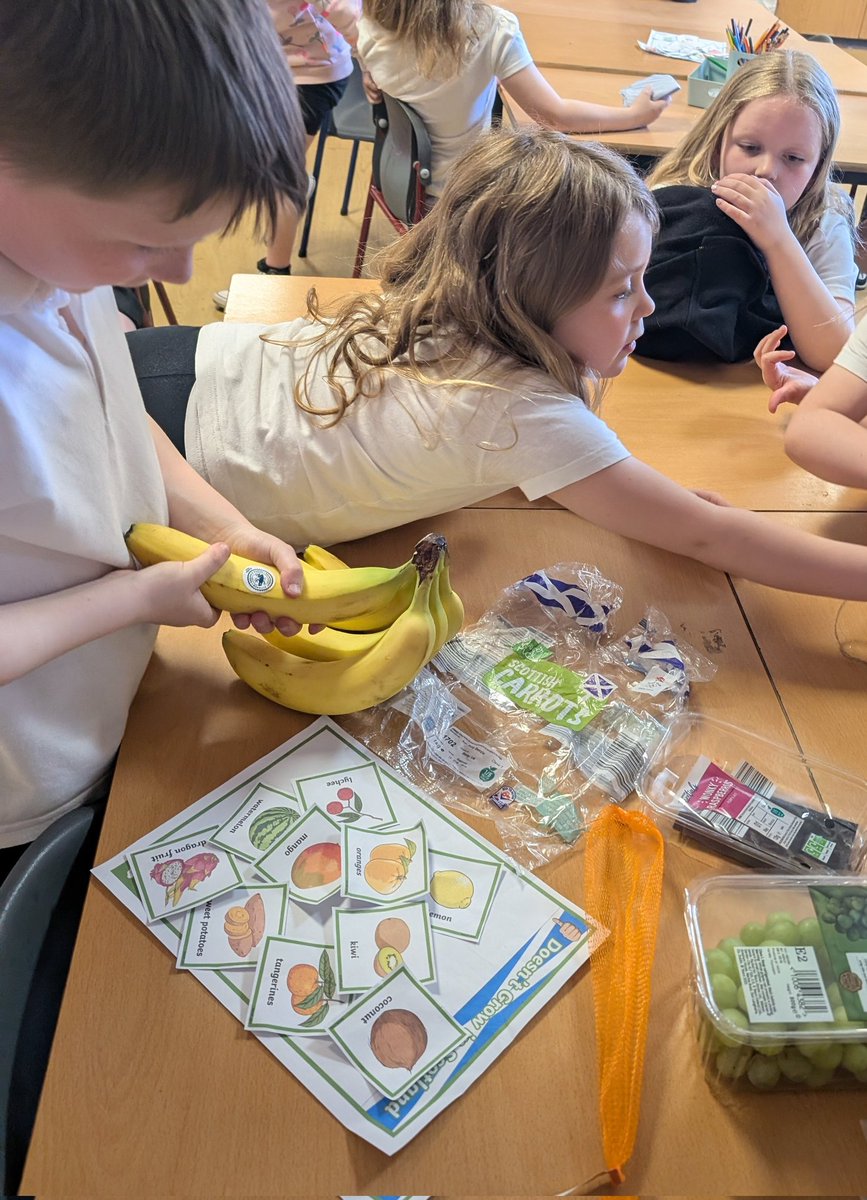 MrsSigurdsson's tweet photo. P2 have been investigating where some fruit &amp; veg we buy are grown. We learned about food miles &amp; couldn't believe how far some items came to get to our local shops. We discovered that lots of items can be grown in Scotland instead  #DunipaceIDL #DunipaceSTEM https://t.co/MIxYvsf8Oc