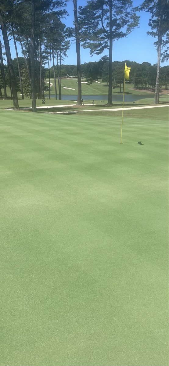 Richard Hurley, PhD tweet media