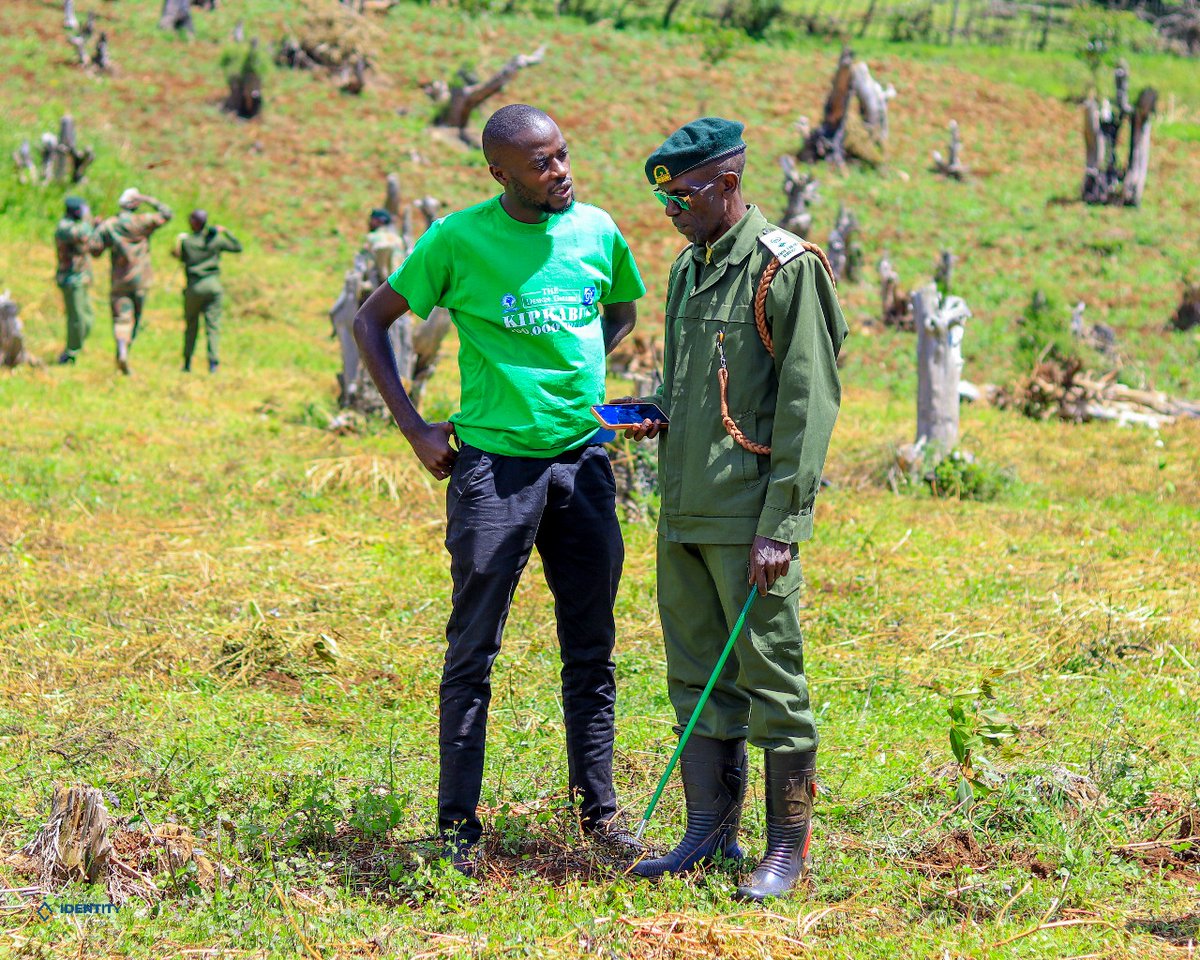 yfga_kenya's tweet photo. This tree planting initiative brought together various stakeholders to address deforestation and promote climate resilience.The collaborative efforts underscore our commitment to building a sustainable future #FutureInAMillionTrees #YGAKKipkabusForest200000Trees #Gitdubai https://t.co/iWMqWkLhIV