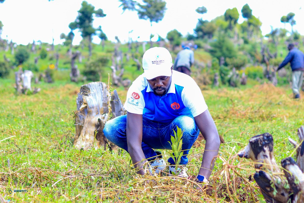 yfga_kenya's tweet photo. This tree planting initiative brought together various stakeholders to address deforestation and promote climate resilience.The collaborative efforts underscore our commitment to building a sustainable future #FutureInAMillionTrees #YGAKKipkabusForest200000Trees #Gitdubai https://t.co/iWMqWkLhIV