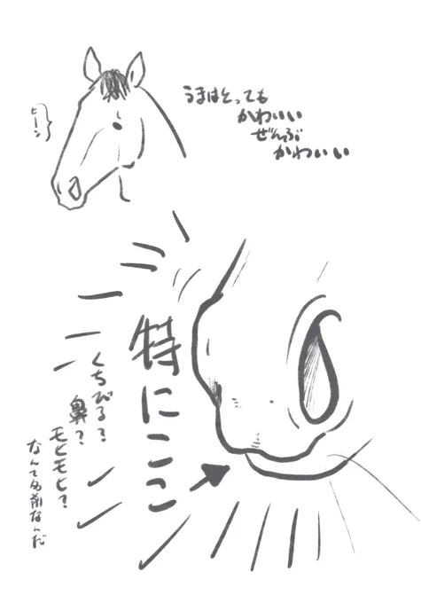 自論
皆様の"かわいい"の意見も募集中 