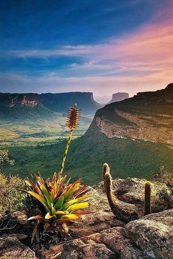 GianlucaCoccon1's tweet image. Maravilloso 
MACIZO GUAYANÉS La Gran Sabana Parque Nacional Canaima….Edo Bolívar VENEZUELA 🇻🇪🇻🇪🇻🇪🇻🇪🇻🇪🇻🇪🇻🇪🇻🇪🇻🇪🇻🇪🇻🇪🇻🇪🇻🇪🇻🇪
@venezuelaenfoto